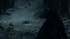 the_100_survivors_2308.jpg