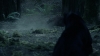 the_100_survivors_2309.jpg