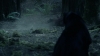 the_100_survivors_2310.jpg