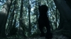 the_100_survivors_2312.jpg