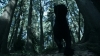 the_100_survivors_2313.jpg