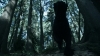 the_100_survivors_2314.jpg