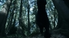 the_100_survivors_2315.jpg