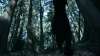 the_100_survivors_2316.jpg