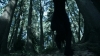 the_100_survivors_2317.jpg