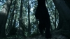 the_100_survivors_2318.jpg