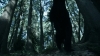 the_100_survivors_2319.jpg