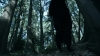 the_100_survivors_2320.jpg