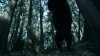 the_100_survivors_2321.jpg