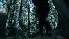 the_100_survivors_2322.jpg