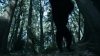 the_100_survivors_2323.jpg