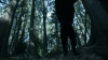 the_100_survivors_2325.jpg