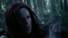 the_100_survivors_2336.jpg
