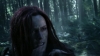 the_100_survivors_2339.jpg