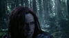 the_100_survivors_2342.jpg