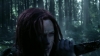 the_100_survivors_2346.jpg