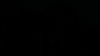 the_100_survivors_2373.jpg