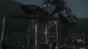 the_100_survivors_2382.jpg