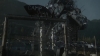 the_100_survivors_2383.jpg