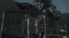 the_100_survivors_2384.jpg