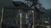 the_100_survivors_2386.jpg