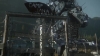 the_100_survivors_2387.jpg