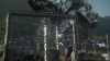the_100_survivors_2391.jpg