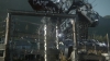 the_100_survivors_2392.jpg