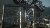 the_100_survivors_2393.jpg