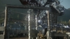 the_100_survivors_2397.jpg