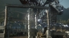 the_100_survivors_2398.jpg