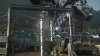 the_100_survivors_2401.jpg