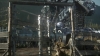 the_100_survivors_2412.jpg