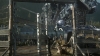 the_100_survivors_2419.jpg