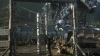 the_100_survivors_2420.jpg