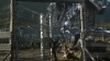 the_100_survivors_2421.jpg