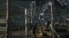 the_100_survivors_2423.jpg