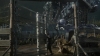 the_100_survivors_2424.jpg