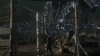 the_100_survivors_2425.jpg
