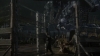 the_100_survivors_2427.jpg