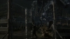 the_100_survivors_2428.jpg
