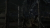 the_100_survivors_2429.jpg