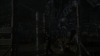 the_100_survivors_2430.jpg