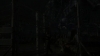 the_100_survivors_2431.jpg