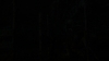 the_100_survivors_2432.jpg