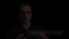 the_100_survivors_2494.jpg