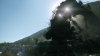 the_100_survivors_2572.jpg