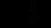 the_100_survivors_2637.jpg