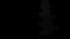 the_100_survivors_2638.jpg