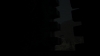the_100_survivors_2639.jpg